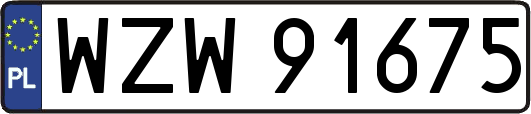 WZW91675