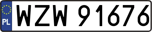 WZW91676