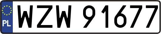 WZW91677