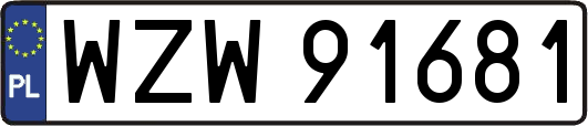 WZW91681