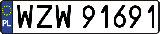 WZW91691