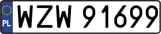 WZW91699