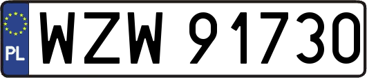 WZW91730