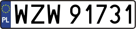WZW91731