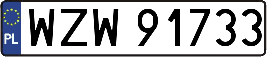 WZW91733