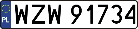 WZW91734