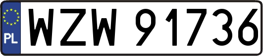 WZW91736
