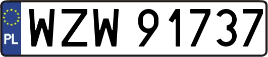 WZW91737