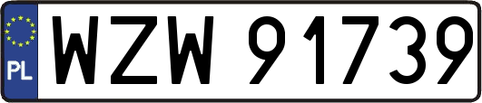 WZW91739