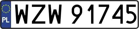 WZW91745