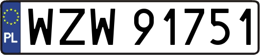 WZW91751