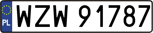 WZW91787