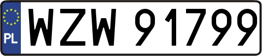 WZW91799