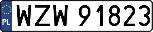 WZW91823