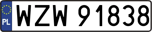 WZW91838