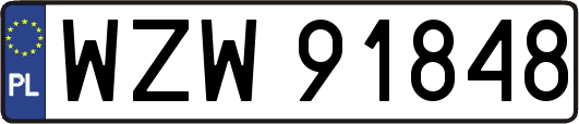 WZW91848