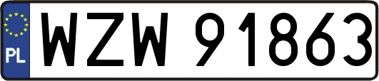 WZW91863
