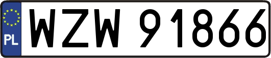 WZW91866
