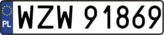 WZW91869