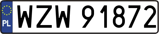 WZW91872