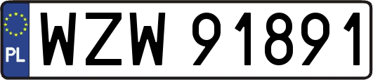 WZW91891