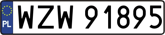 WZW91895