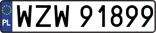 WZW91899