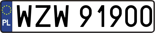 WZW91900