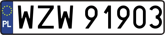 WZW91903