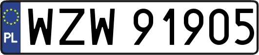 WZW91905