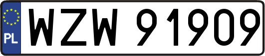 WZW91909