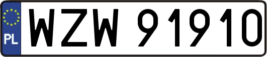 WZW91910
