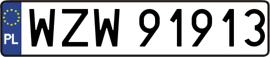 WZW91913