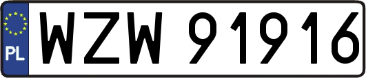 WZW91916