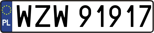 WZW91917