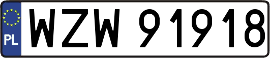 WZW91918