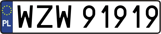WZW91919