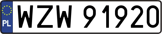 WZW91920