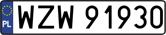 WZW91930