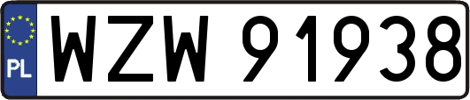 WZW91938