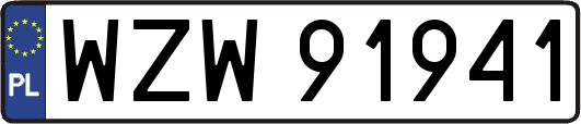 WZW91941