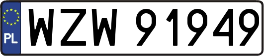 WZW91949
