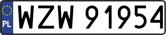 WZW91954