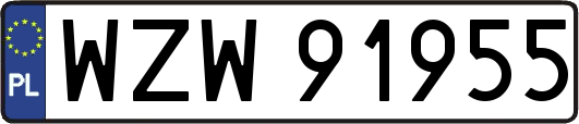 WZW91955