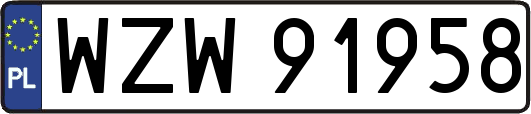 WZW91958