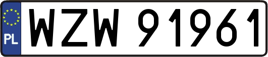 WZW91961