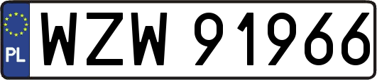 WZW91966