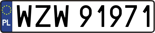 WZW91971