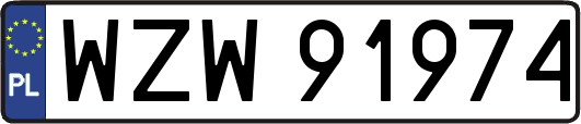 WZW91974