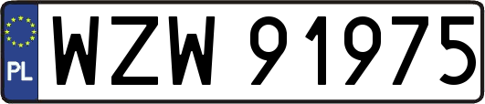 WZW91975